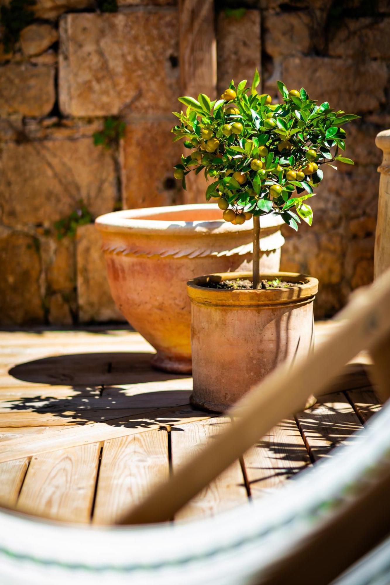 Maison Des Chanoines Sarlat-la-Caneda Ngoại thất bức ảnh